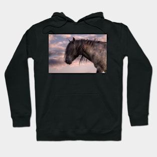 Cursed Hoodie